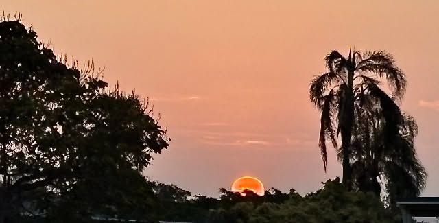 Sunset over a croquet ground, with silhouetted trees and palm framing the orange sun on the horizon